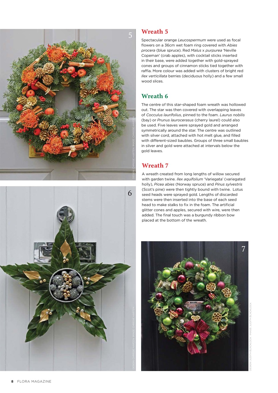 Flora International Preview Pages