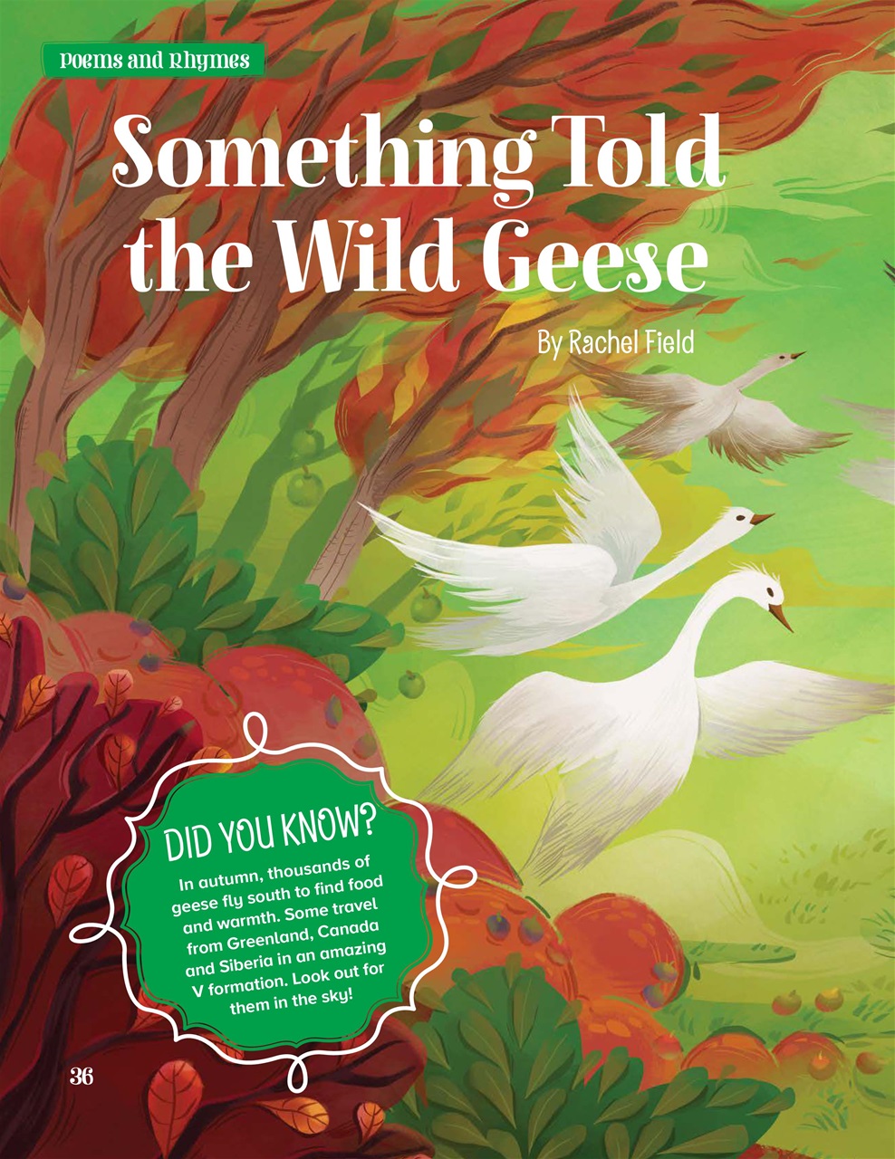 Storytime Preview Pages