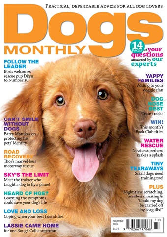 November 2019 issue November 2019