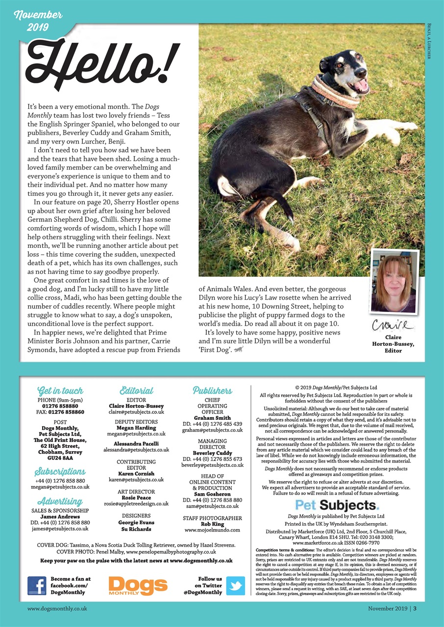 Dogs Monthly Preview Pages