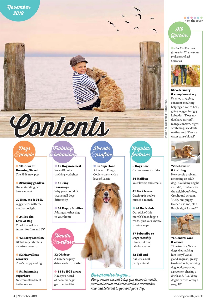 Dogs Monthly Preview Pages