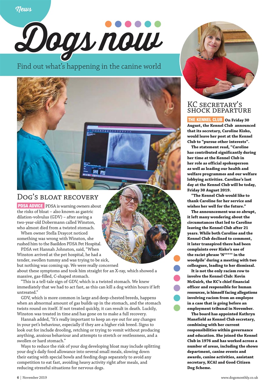 Dogs Monthly Preview Pages