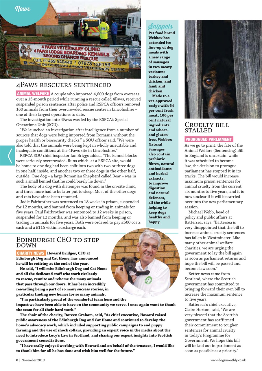 Dogs Monthly Preview Pages