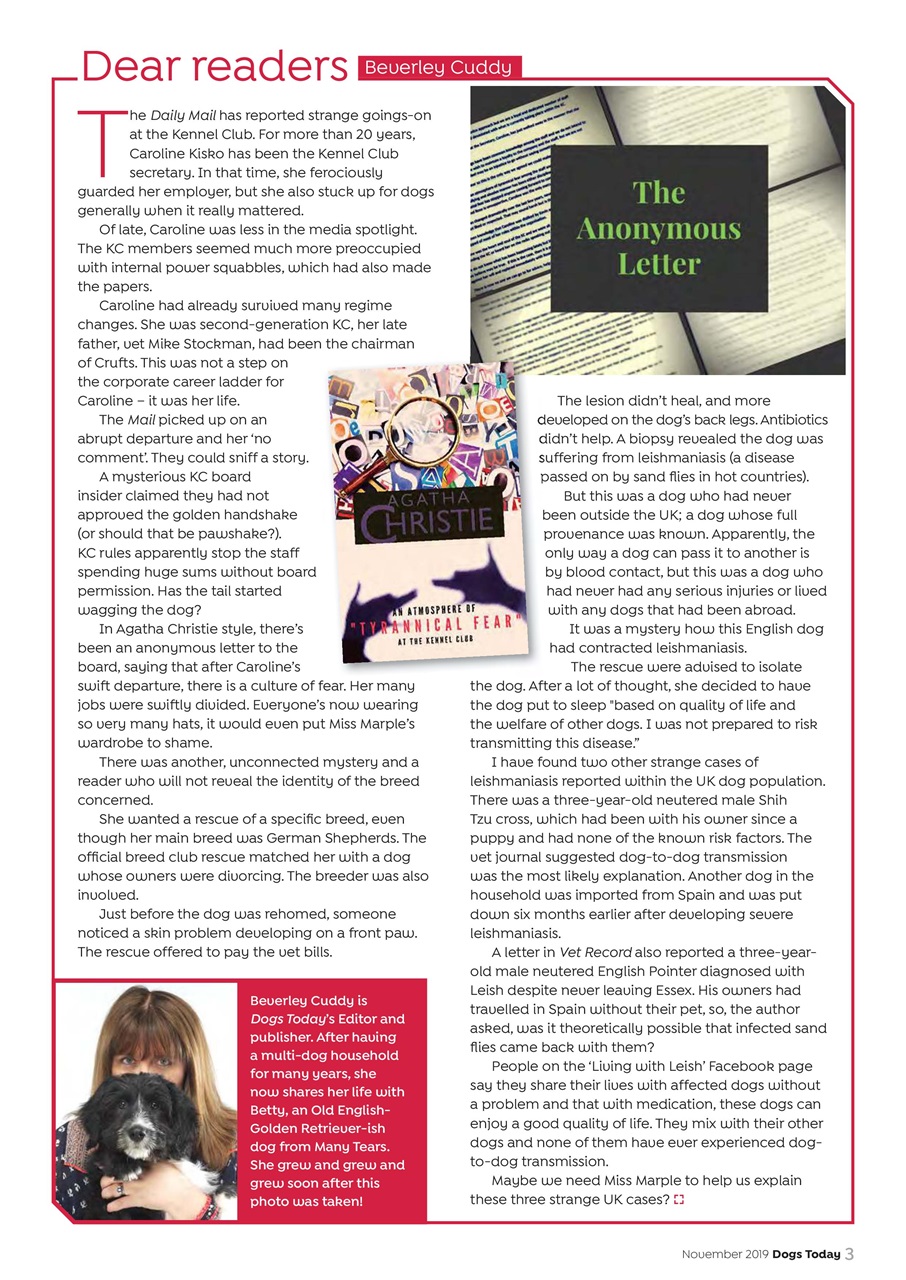 Dogs Today Magazine Preview Pages