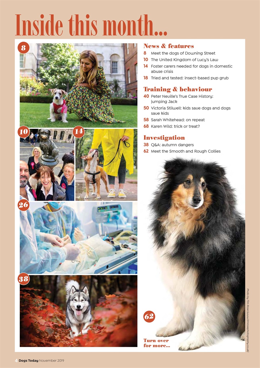 Dogs Today Magazine Preview Pages