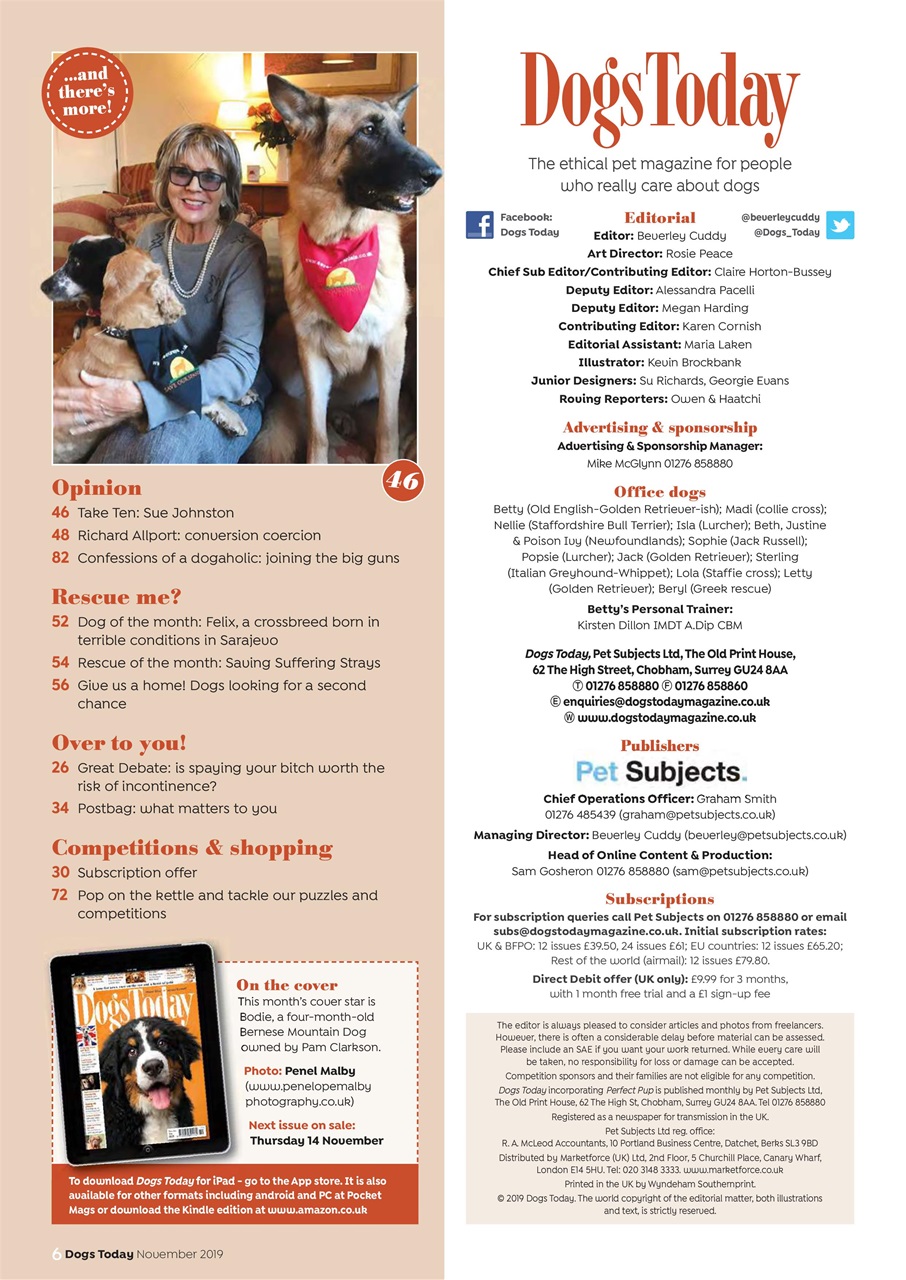 Dogs Today Magazine Preview Pages