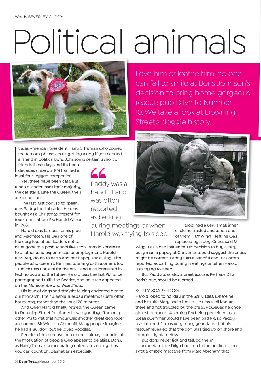 Dogs Today Magazine Preview Pages