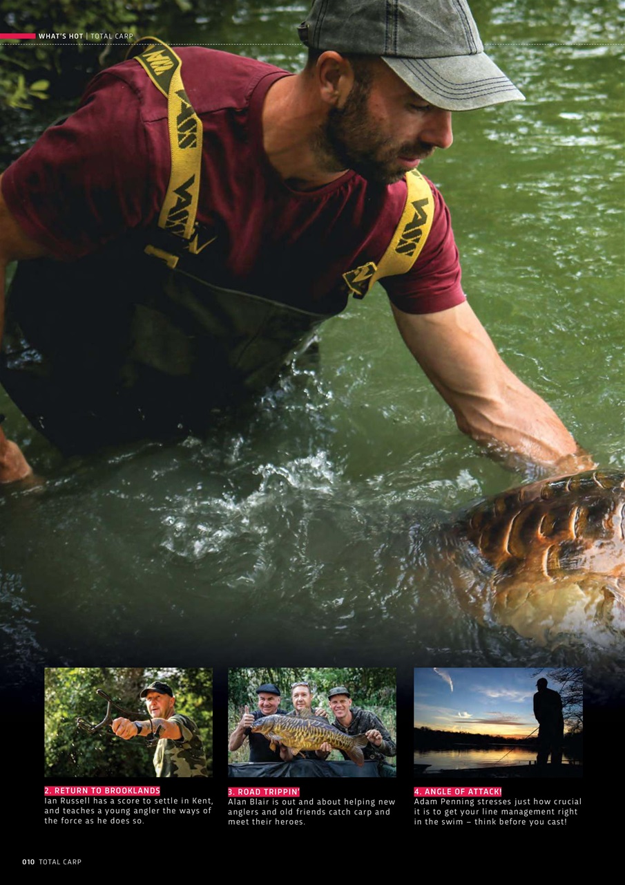 Total Carp Preview Pages