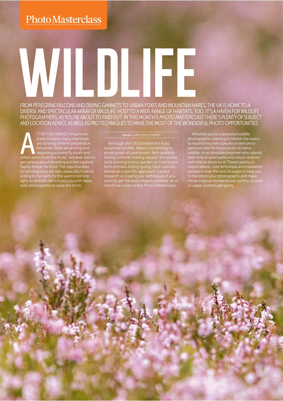 Digital SLR Photography Preview Pages