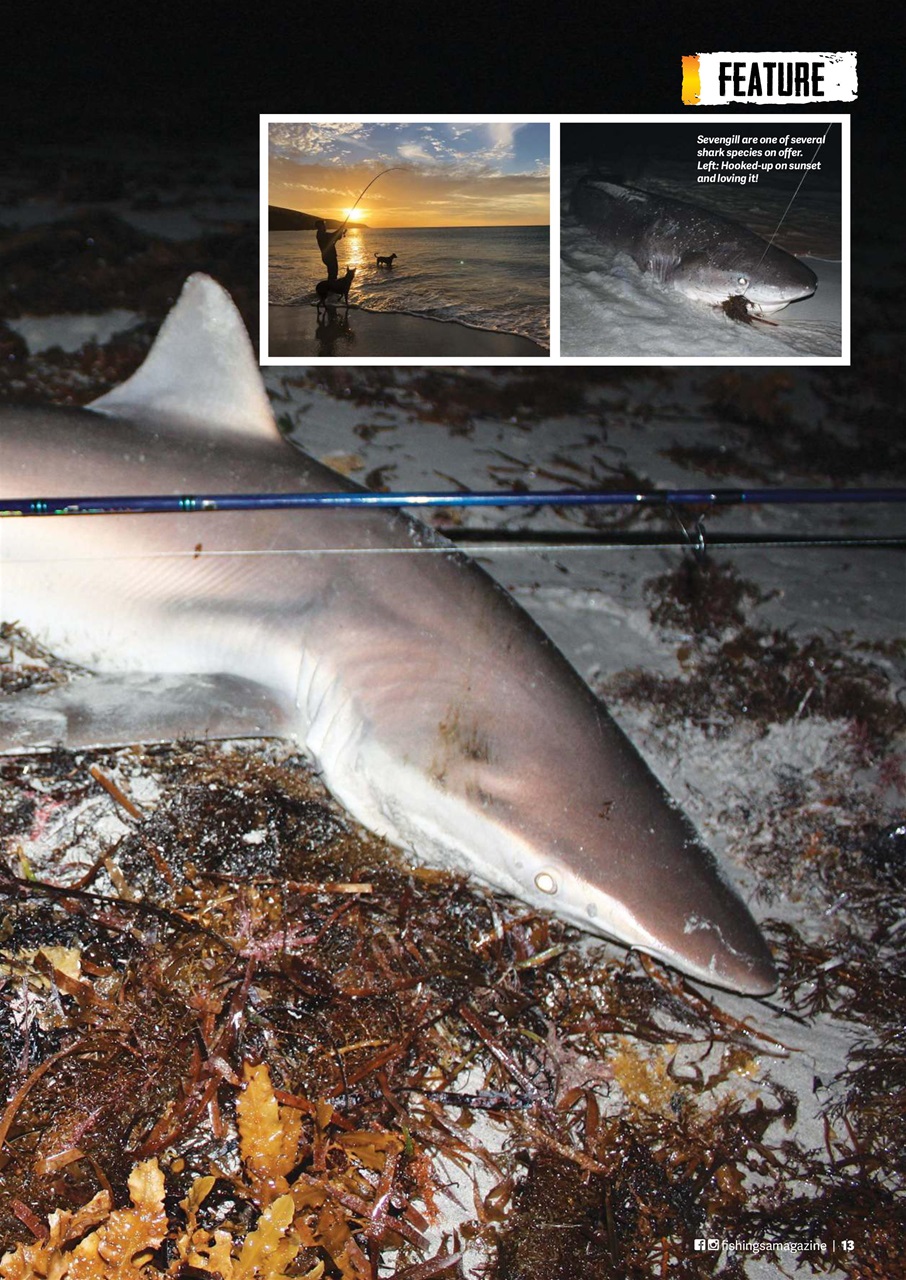 Fishing SA Preview Pages