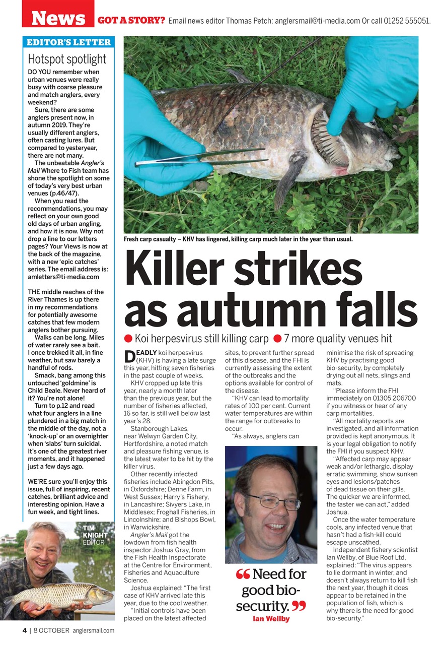 Anglers Mail Preview Pages