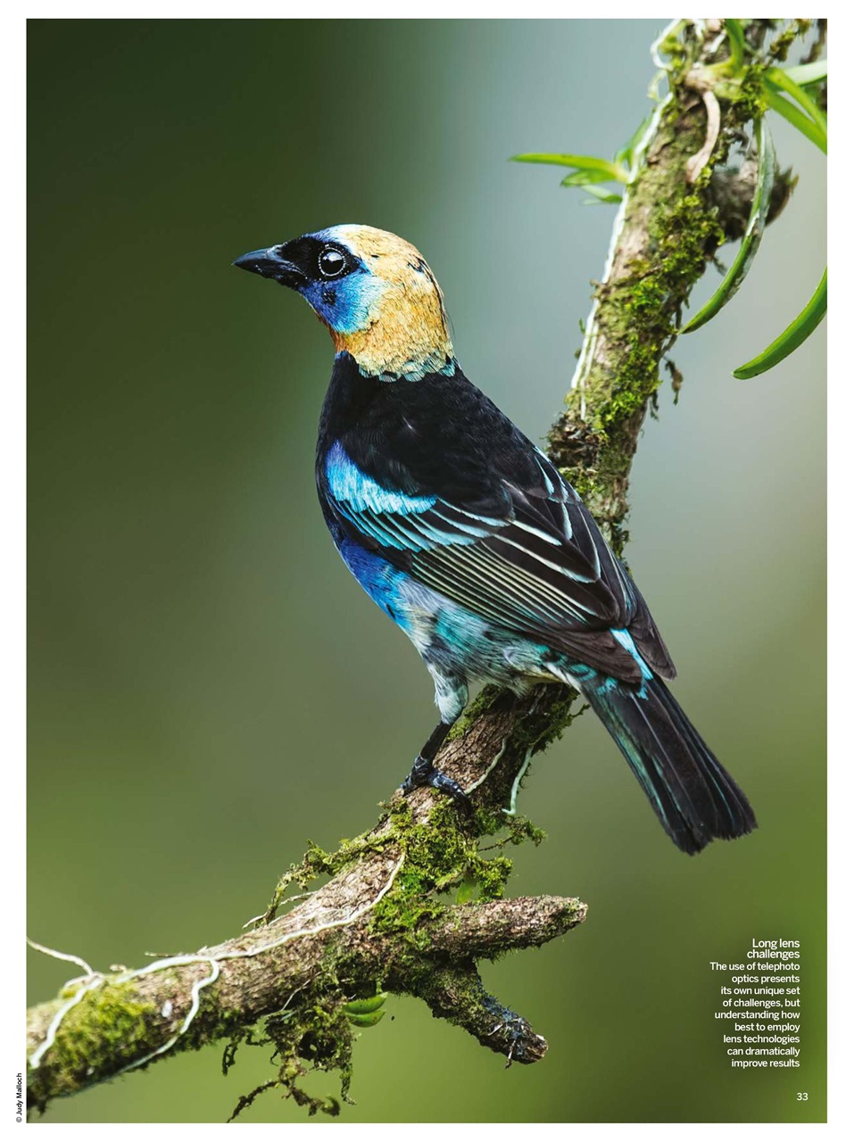 Digital Photographer Preview Pages