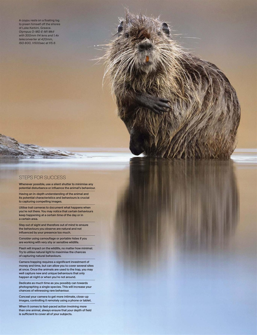 Outdoor Photography Preview Pages