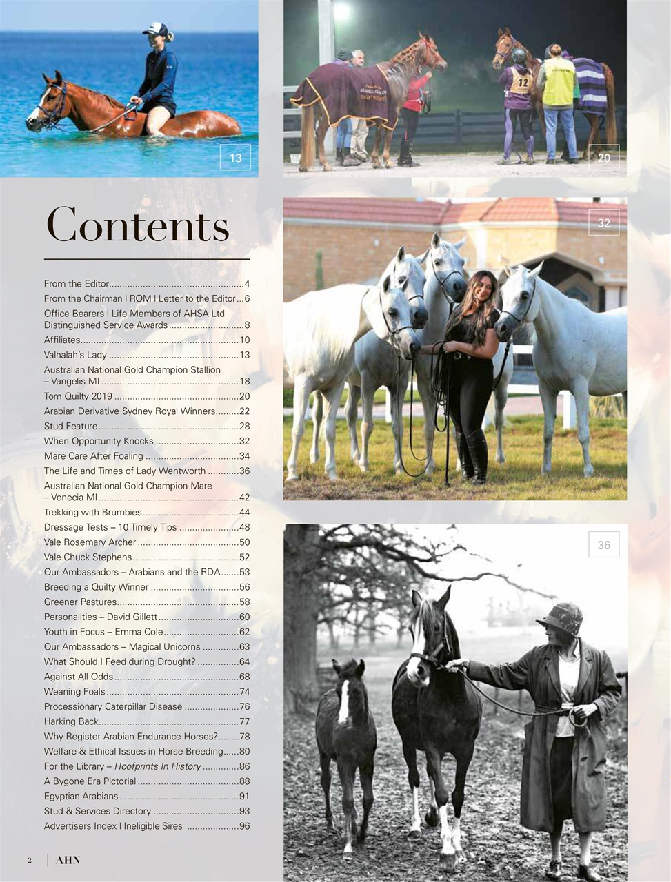 Australian Arabian Horse News Preview Pages