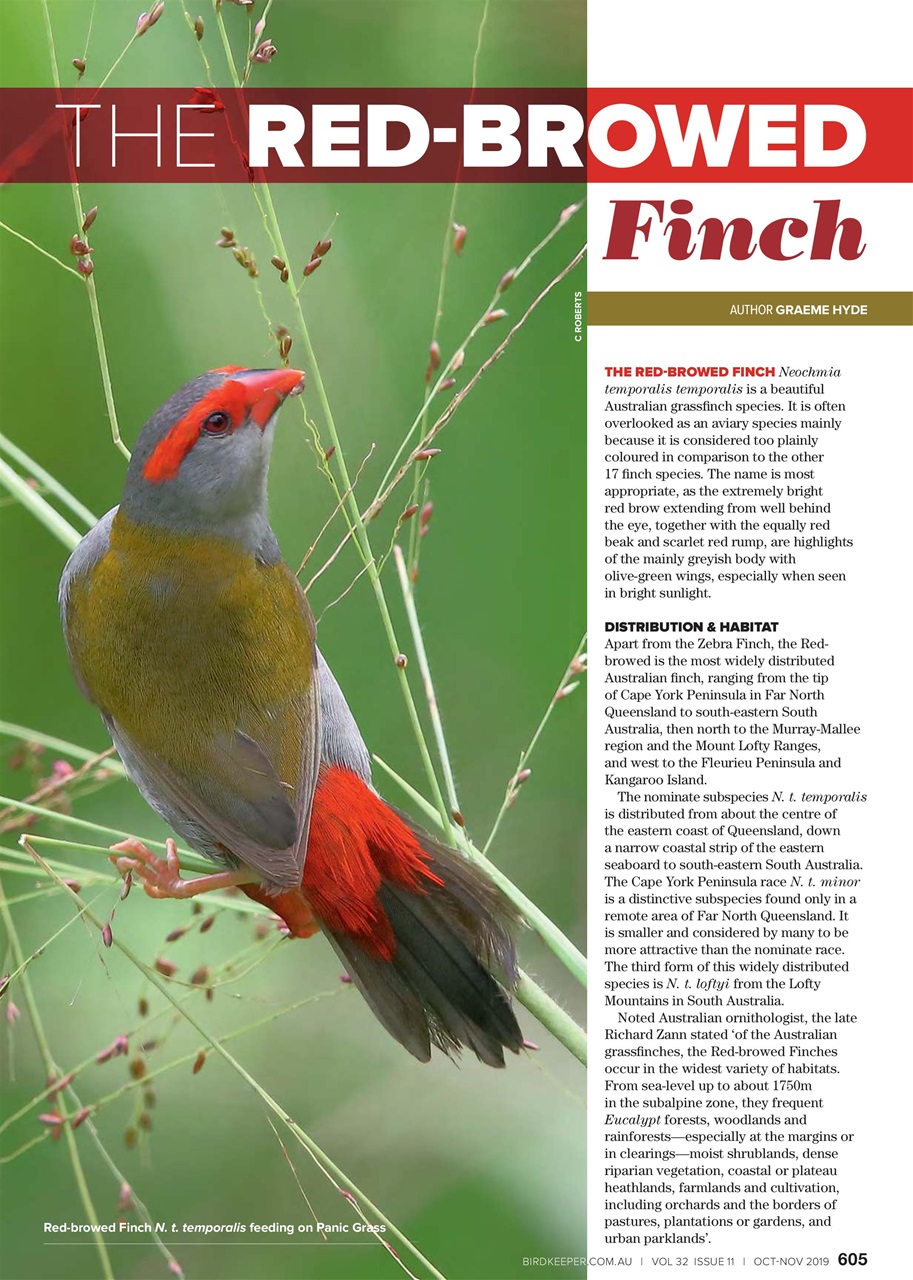 Australian Birdkeeper Magazine Preview Pages