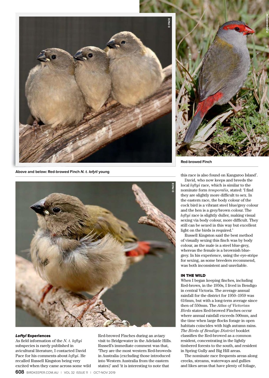 Australian Birdkeeper Magazine Preview Pages
