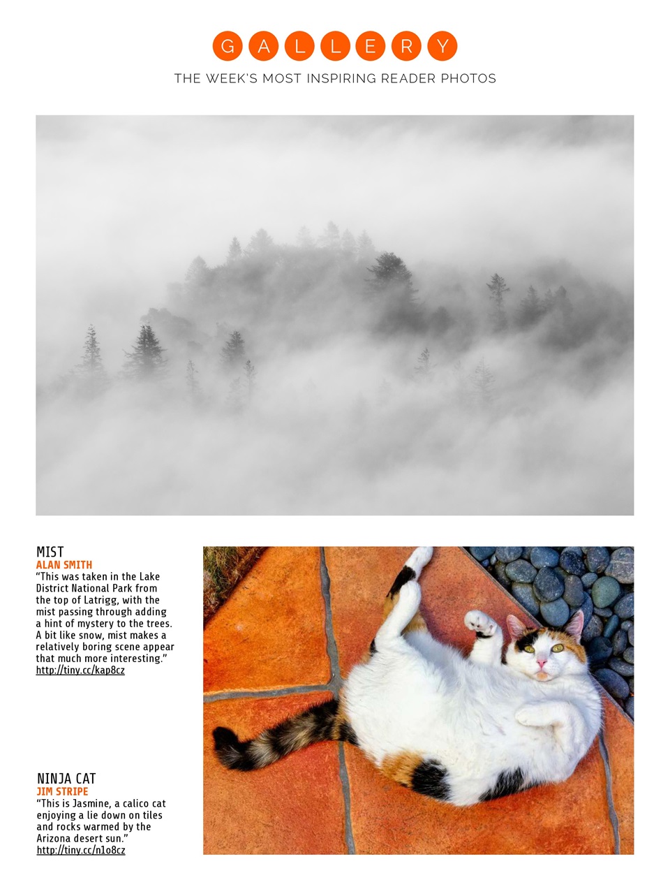 Photography Week Preview Pages