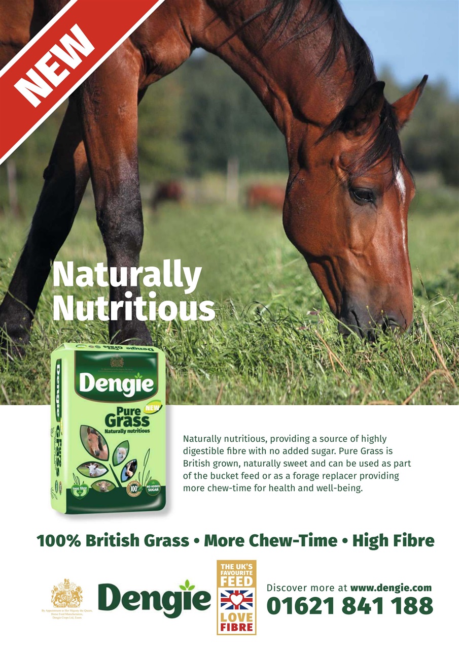 Your Horse Preview Pages