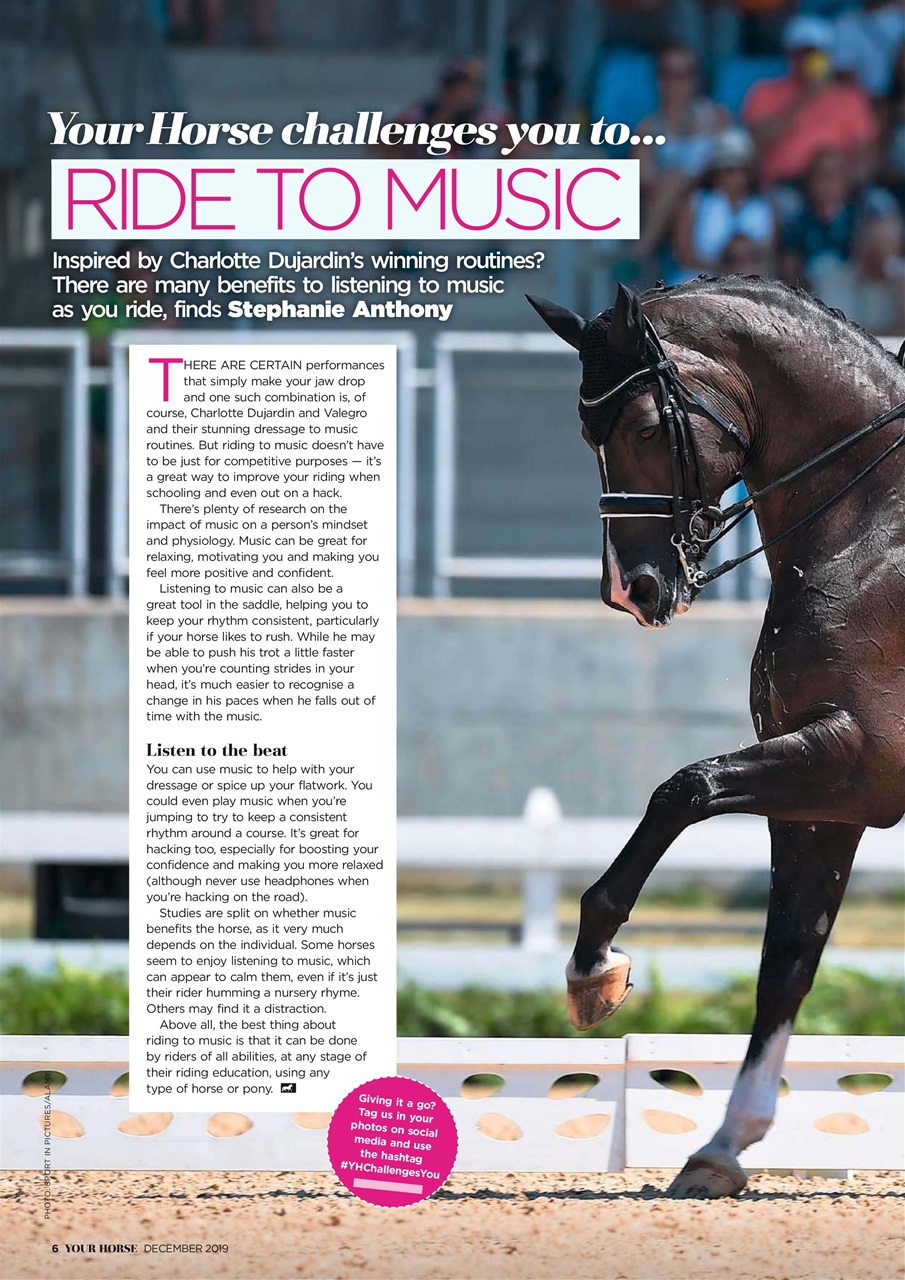 Your Horse Preview Pages