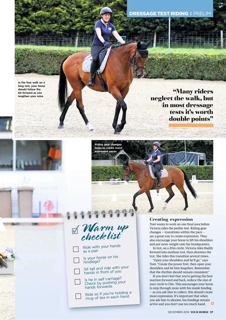 Your Horse Preview Pages