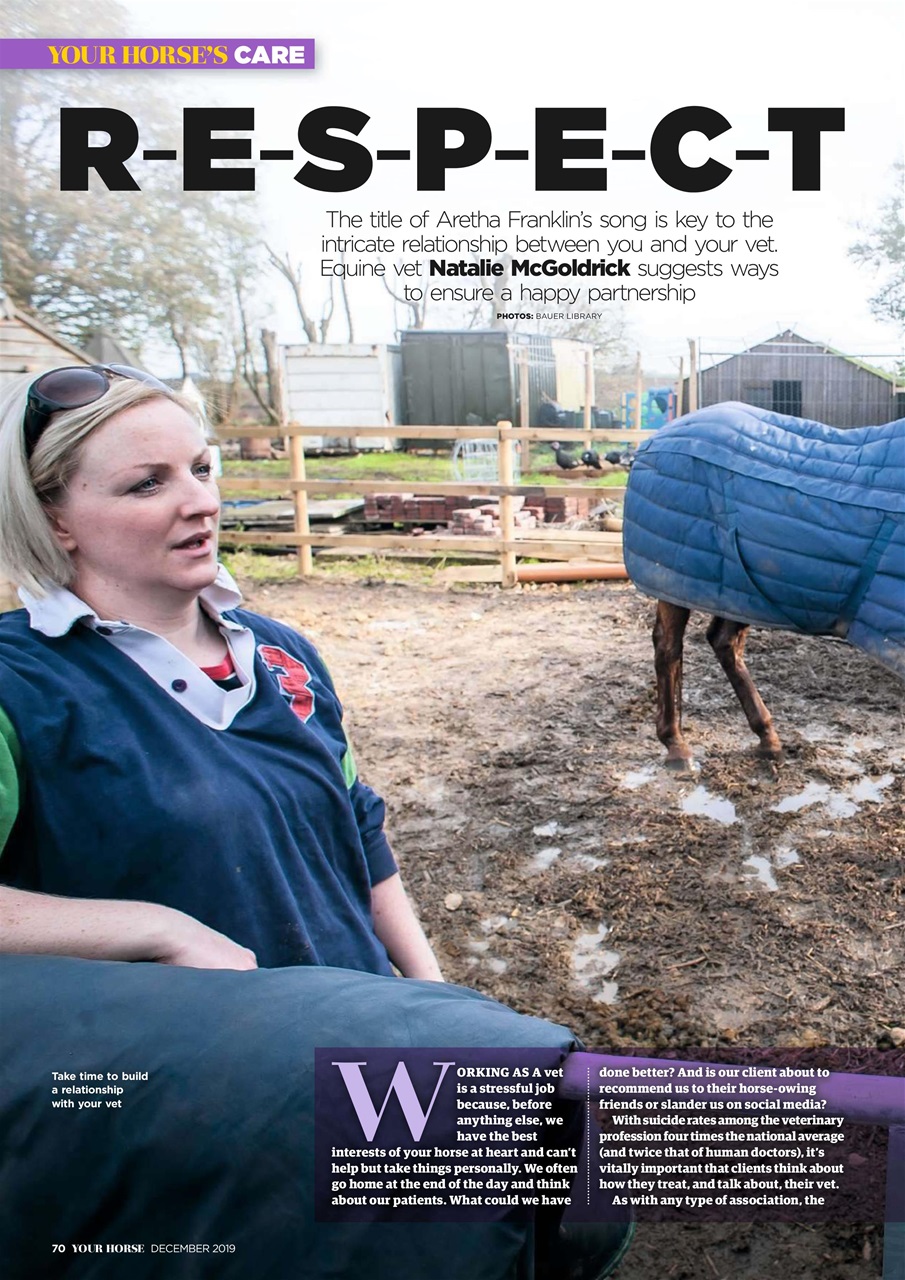 Your Horse Preview Pages