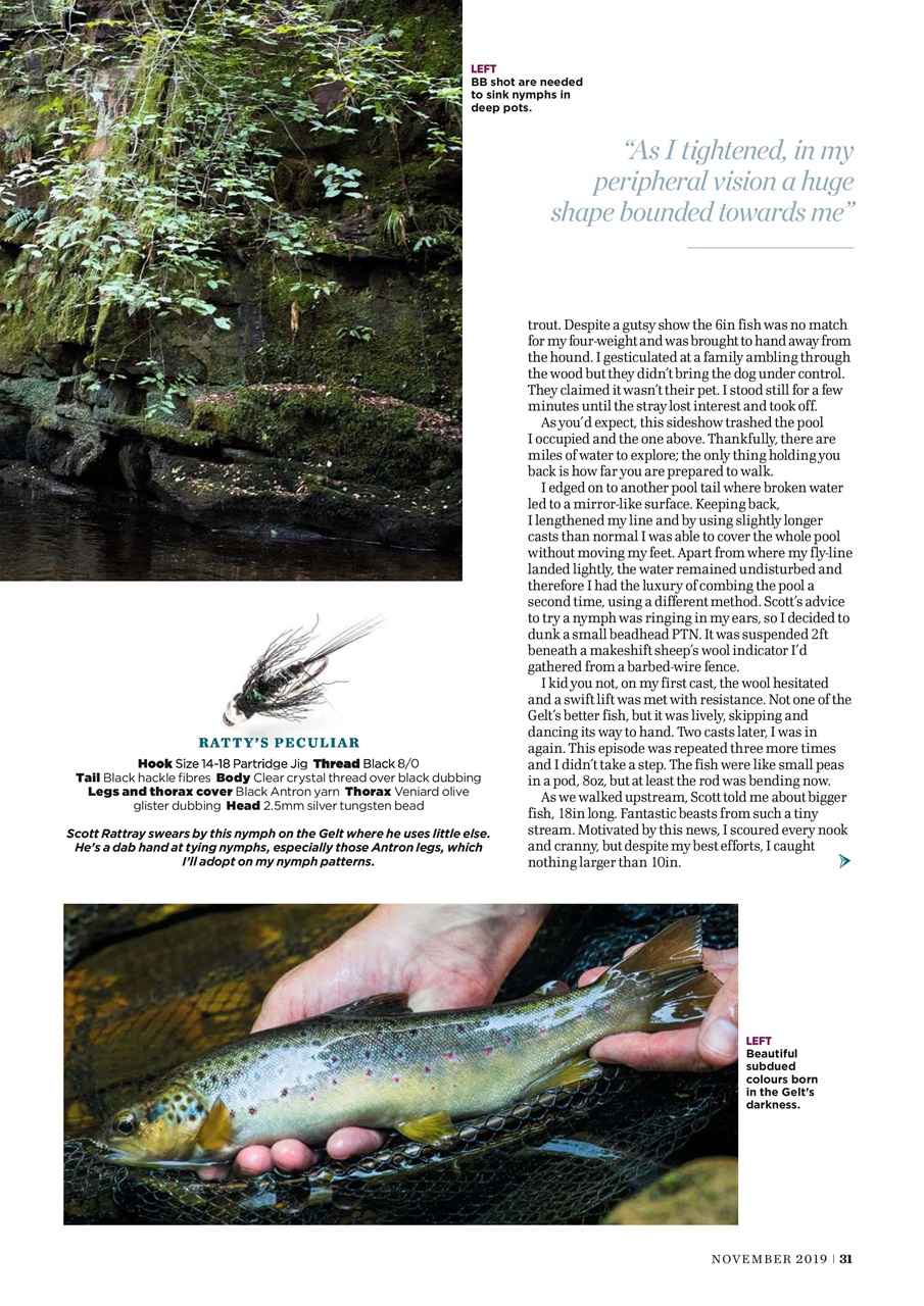Trout & Salmon Preview Pages