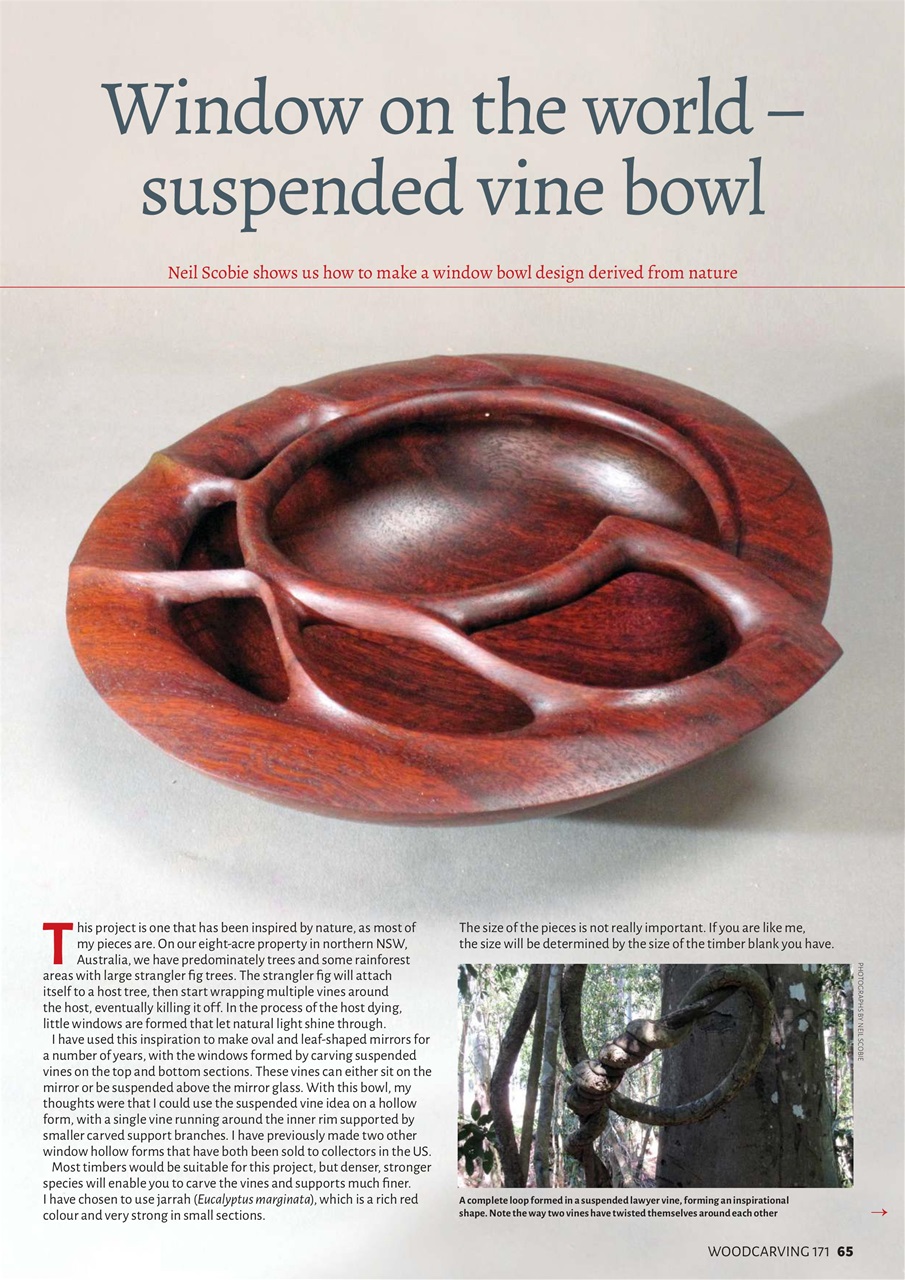 Woodcarving Preview Pages
