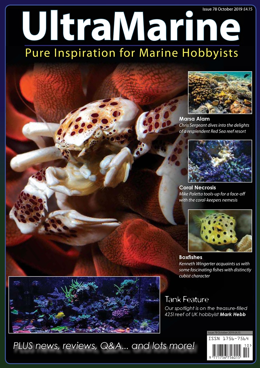 UltraMarine Magazine Preview Pages