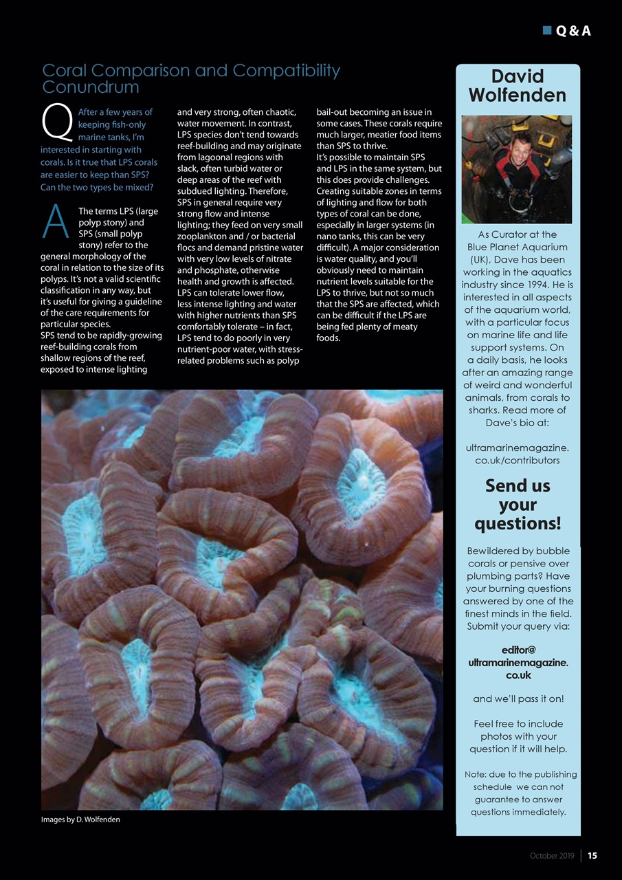 UltraMarine Magazine Preview Pages