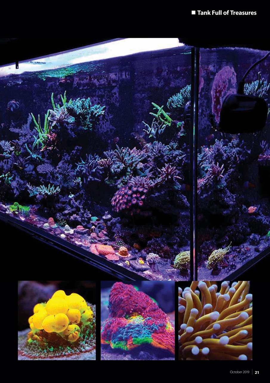 UltraMarine Magazine Preview Pages