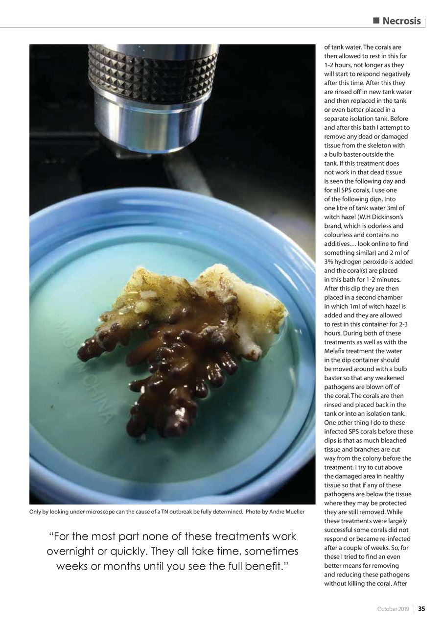 UltraMarine Magazine Preview Pages