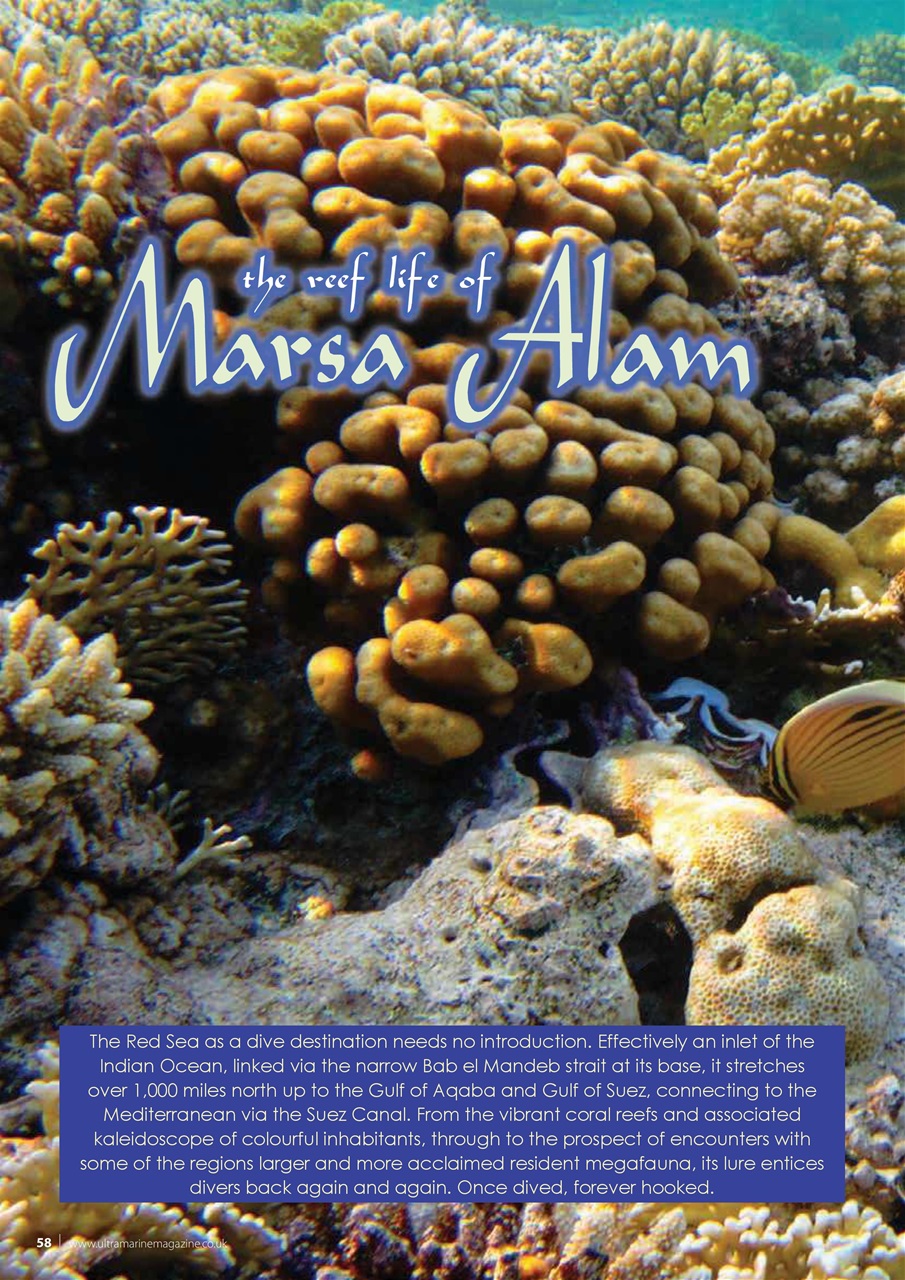 UltraMarine Magazine Preview Pages