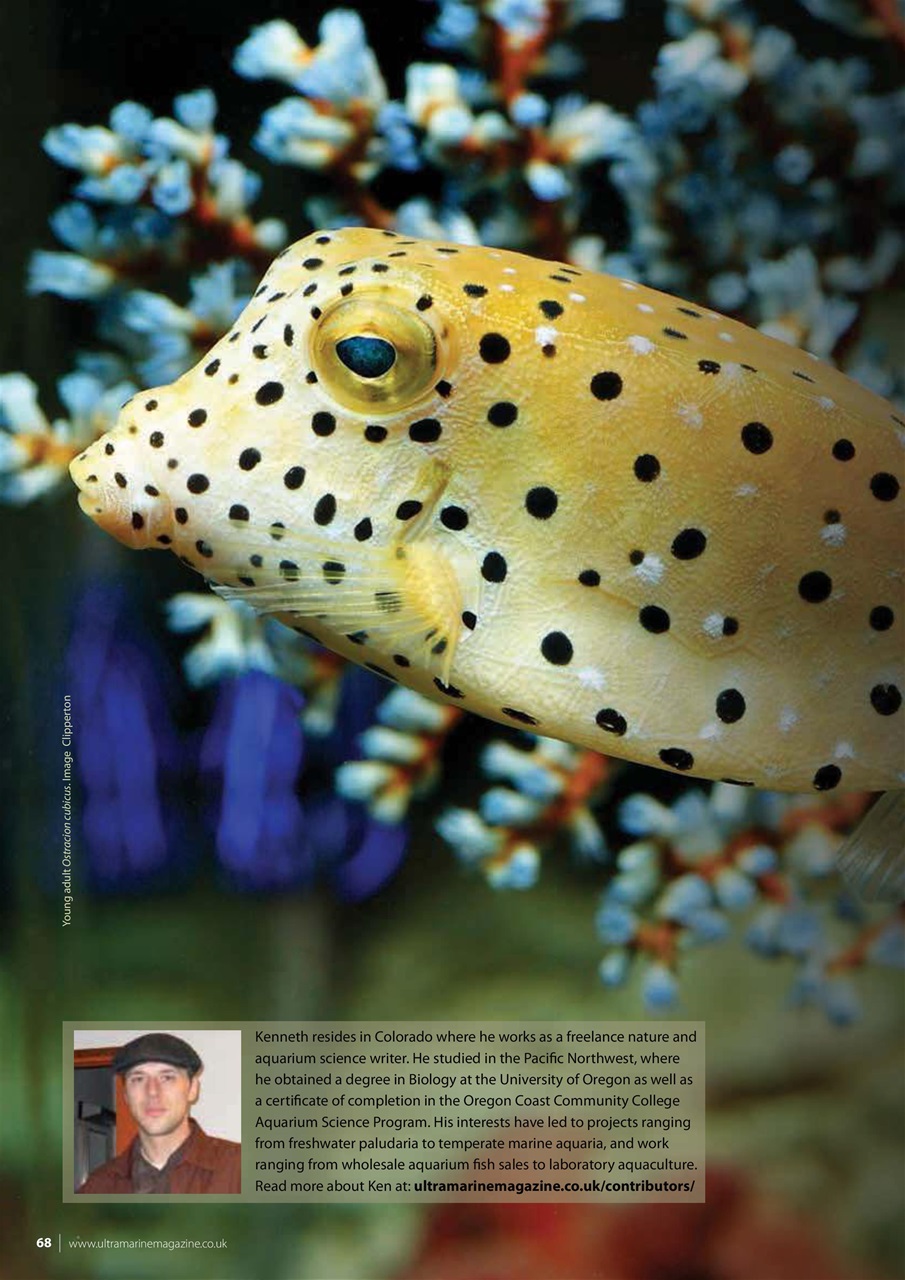 UltraMarine Magazine Preview Pages