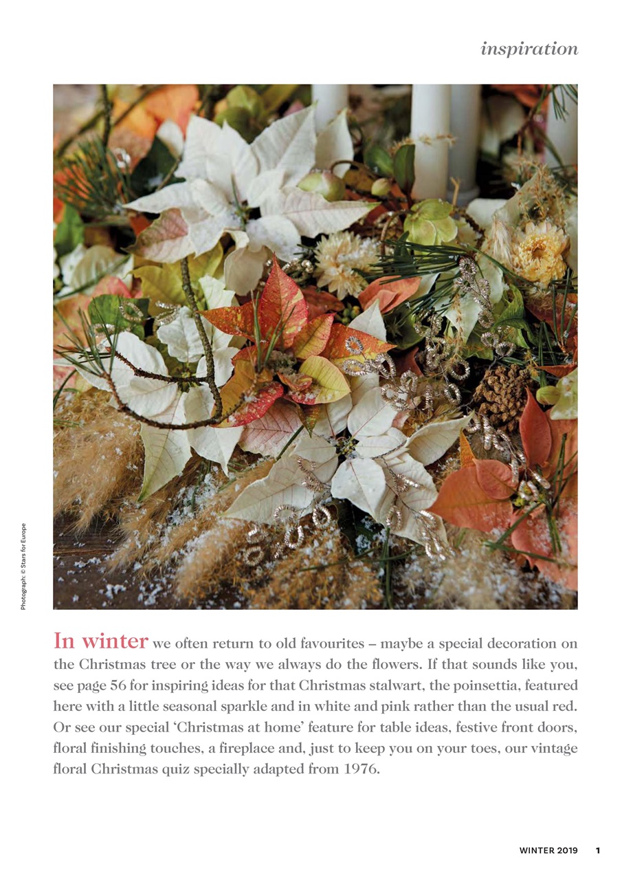 The Flower Arranger Preview Pages