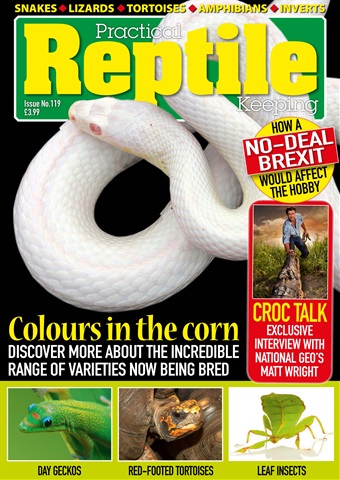Practical Reptile Keeping issue Issue 119