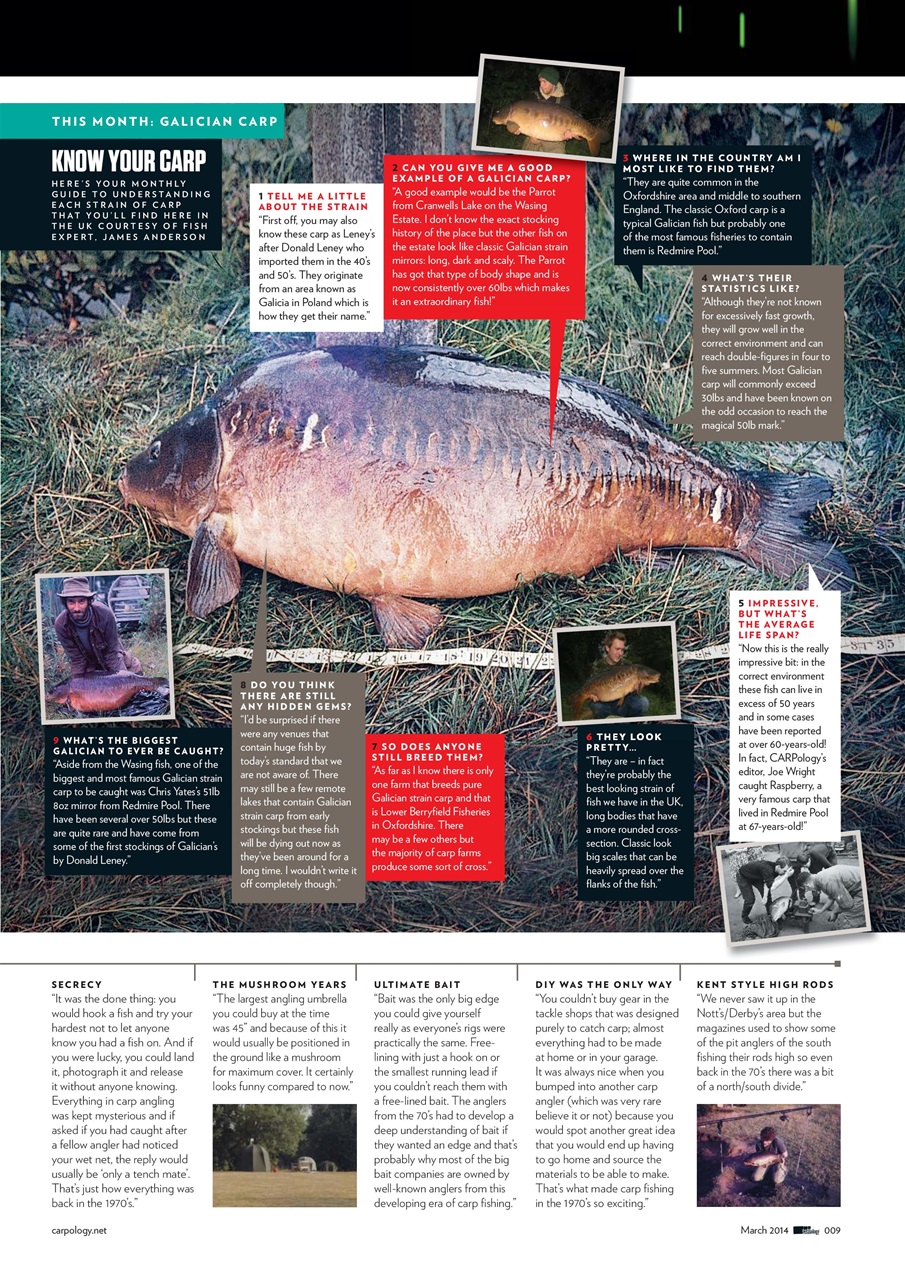 CARPology Magazine Preview Pages