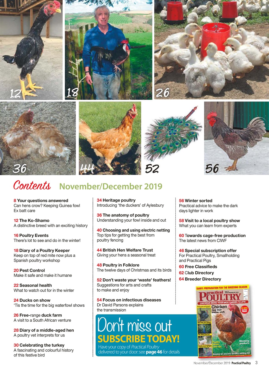 Practical Poultry Preview Pages