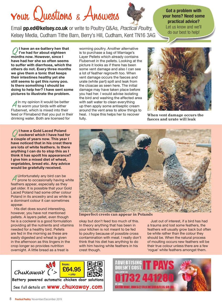 Practical Poultry Preview Pages
