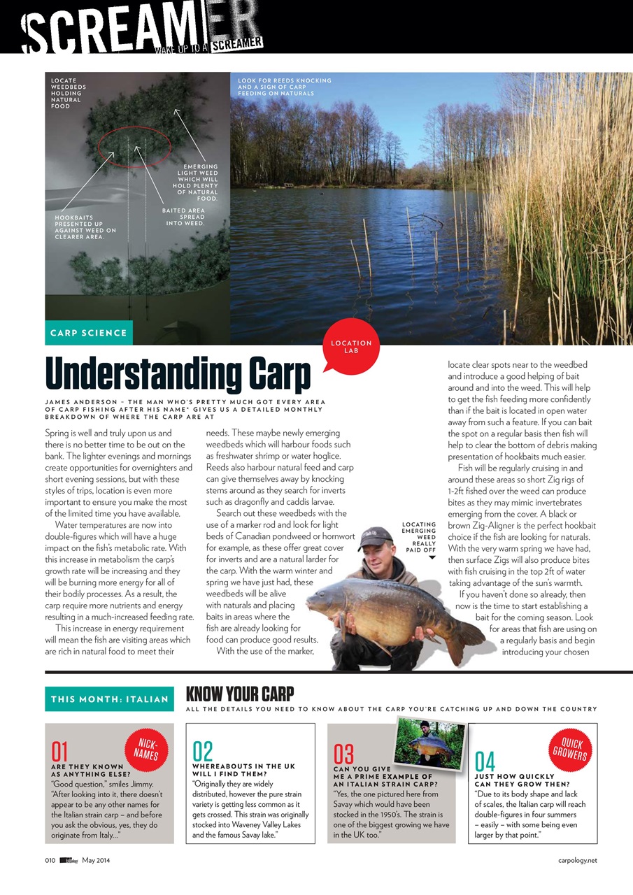 CARPology Magazine Preview Pages