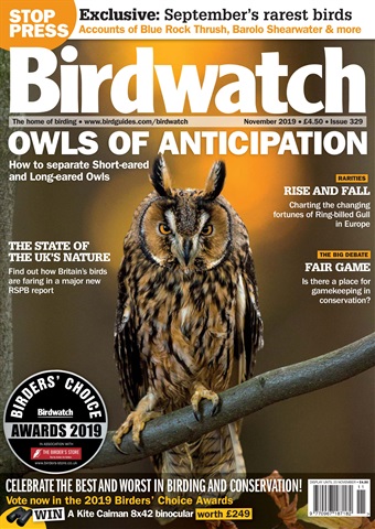 Birdwatch Magazine issue November 2019
