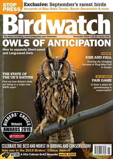 Birdwatch Magazine issue 