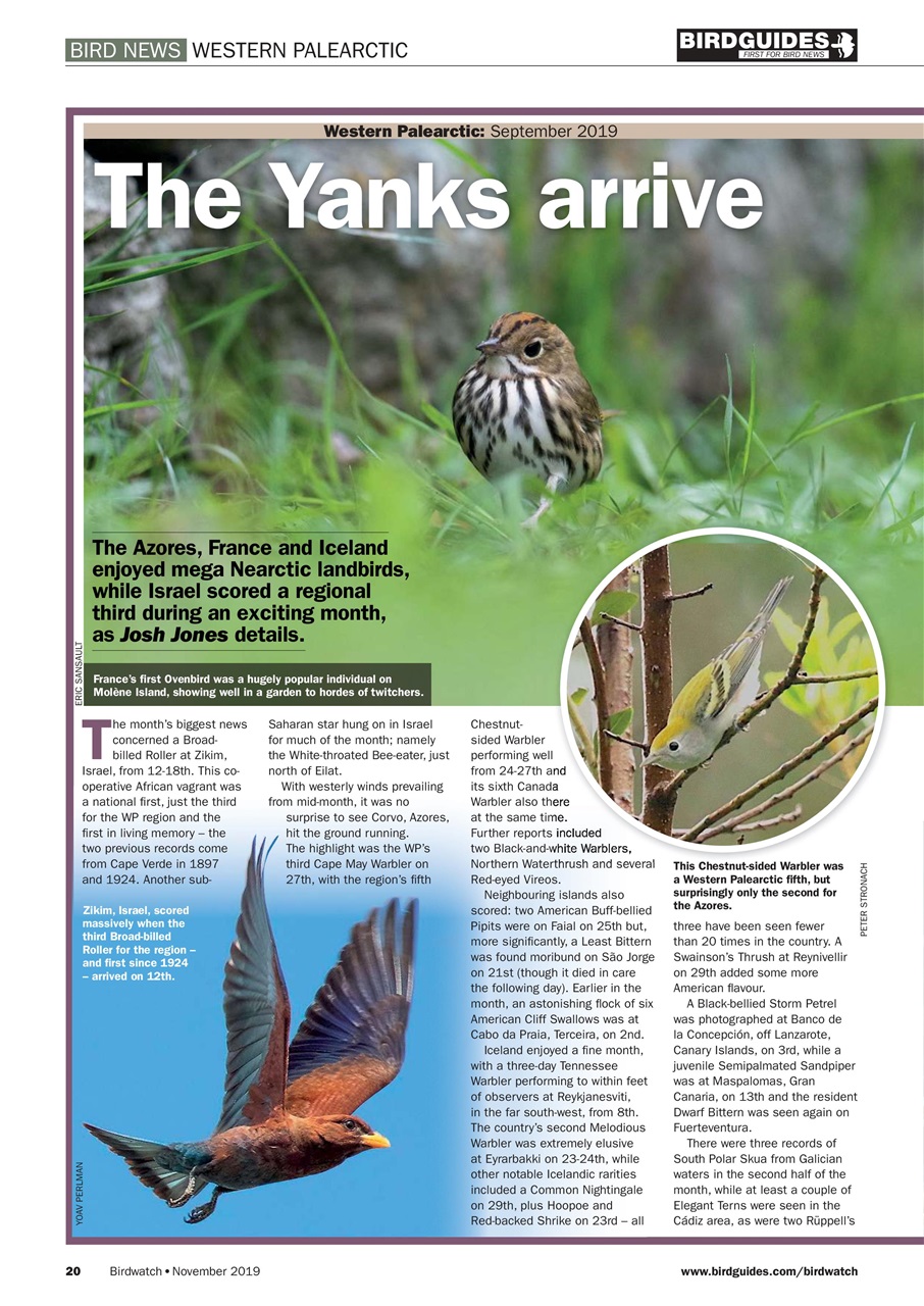 Birdwatch Magazine Preview Pages