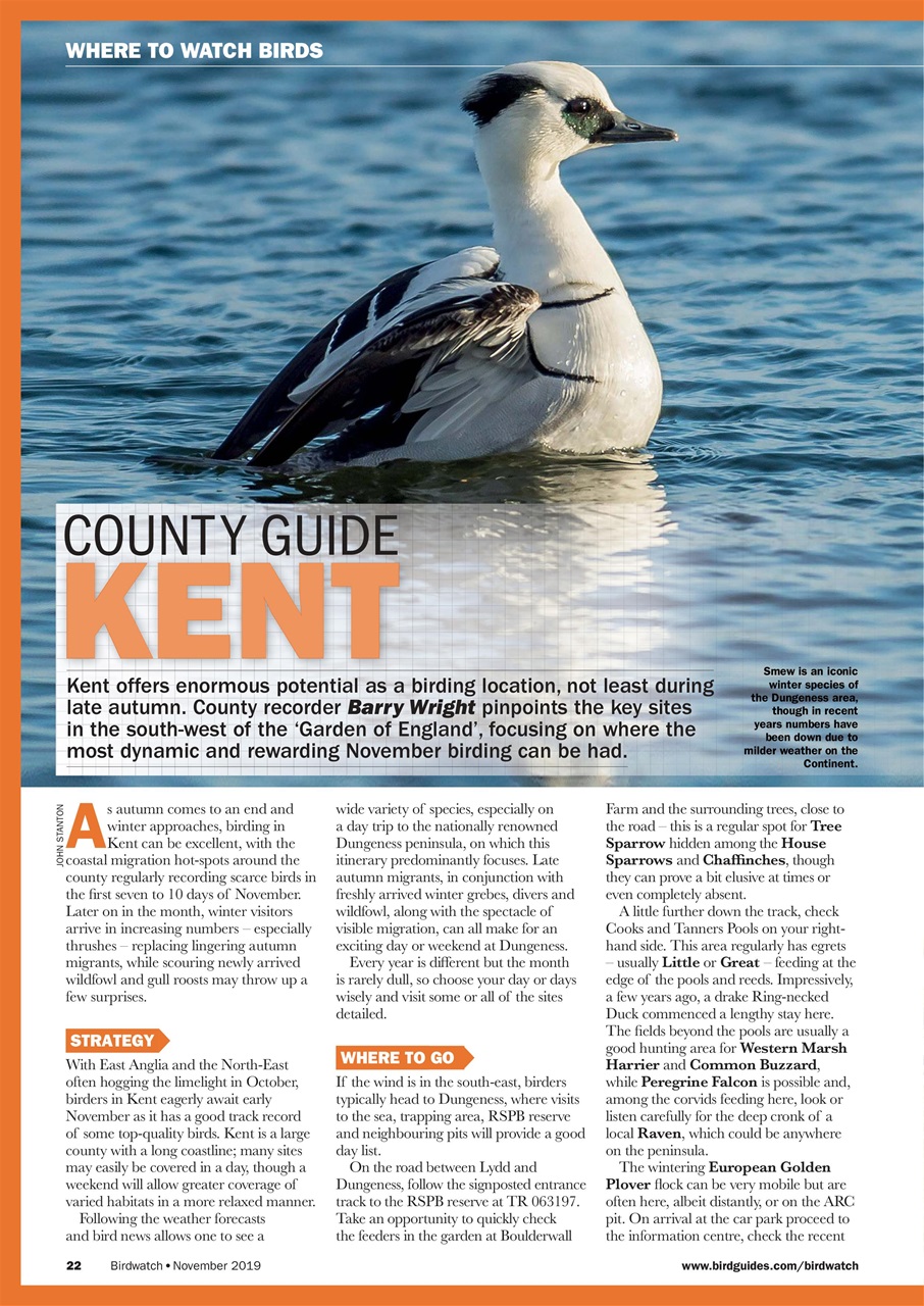 Birdwatch Magazine Preview Pages