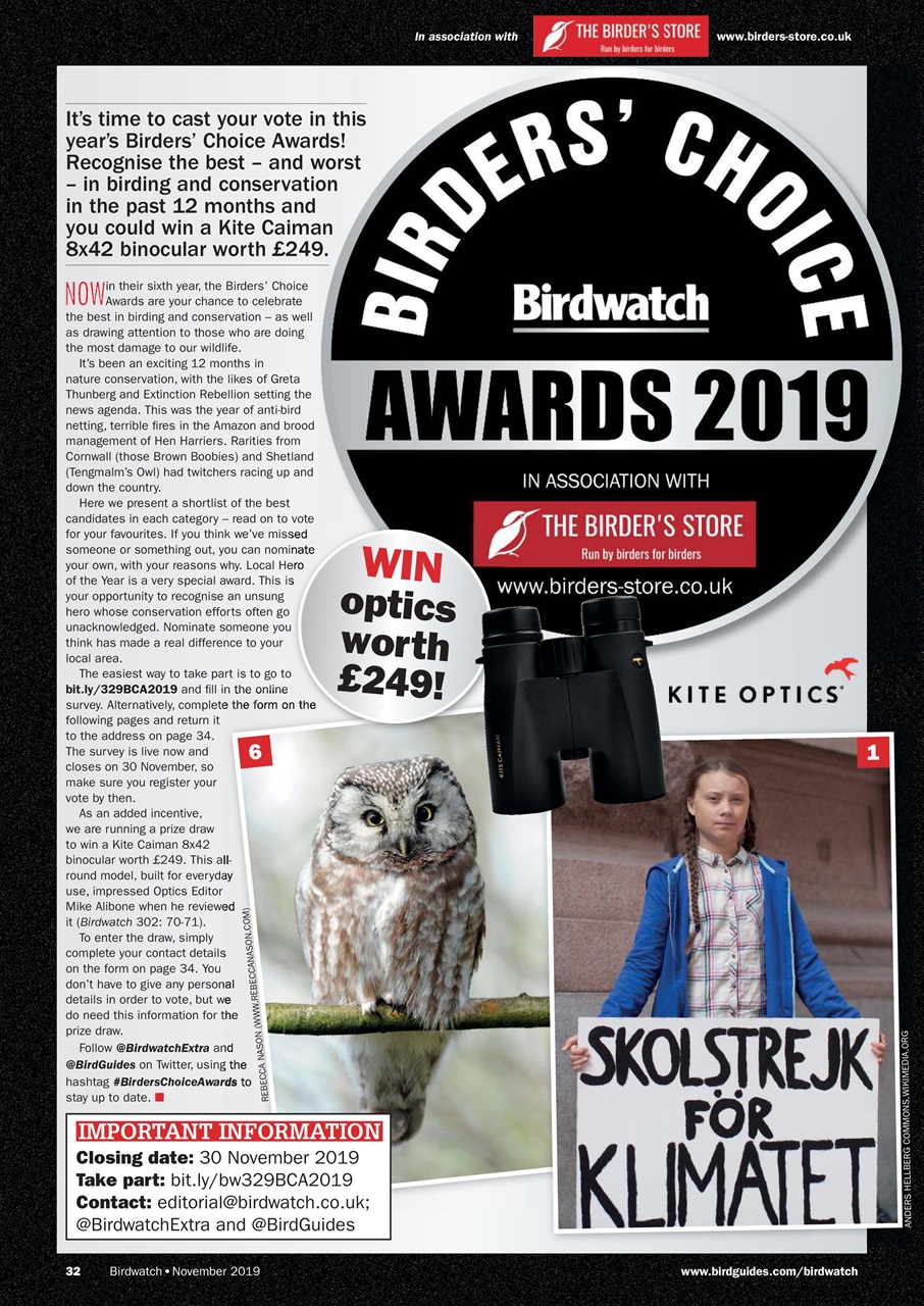 Birdwatch Magazine Preview Pages