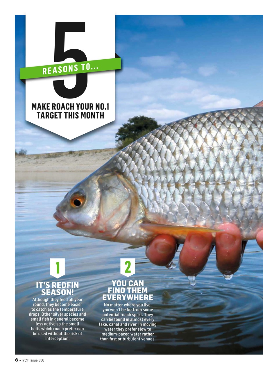 Improve Your Coarse Fishing Preview Pages