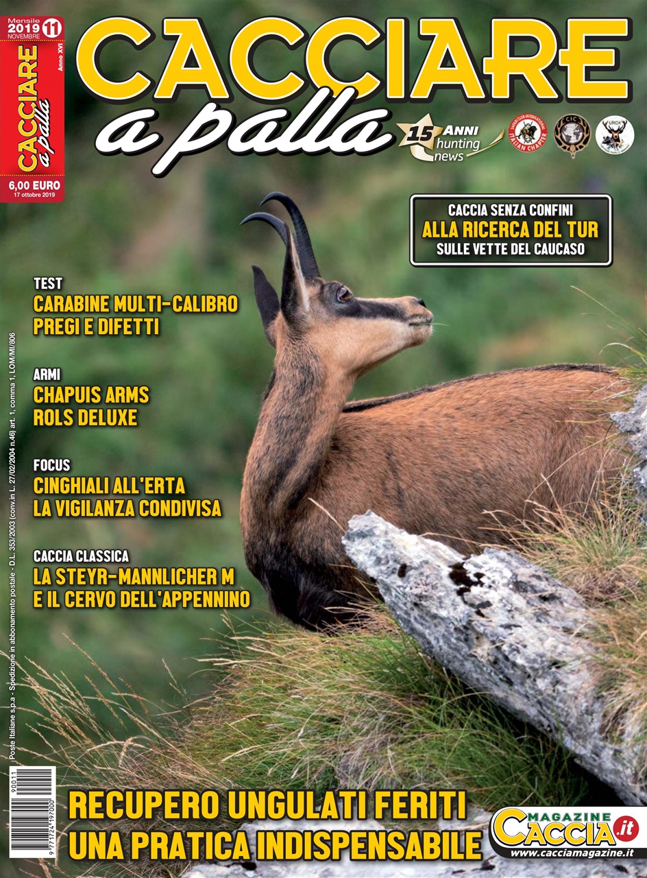 Caccia Magazine Preview Pages