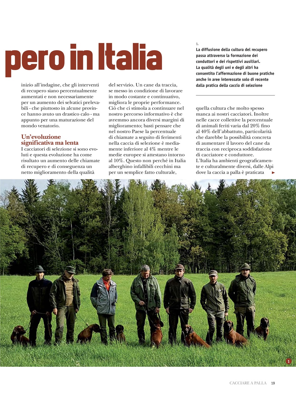 Caccia Magazine Preview Pages