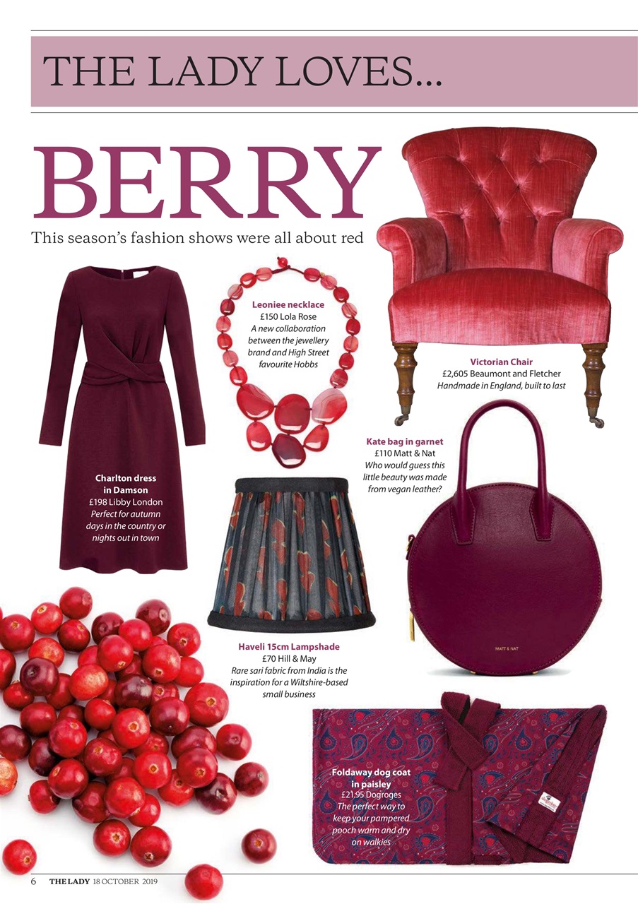 The Lady Preview Pages