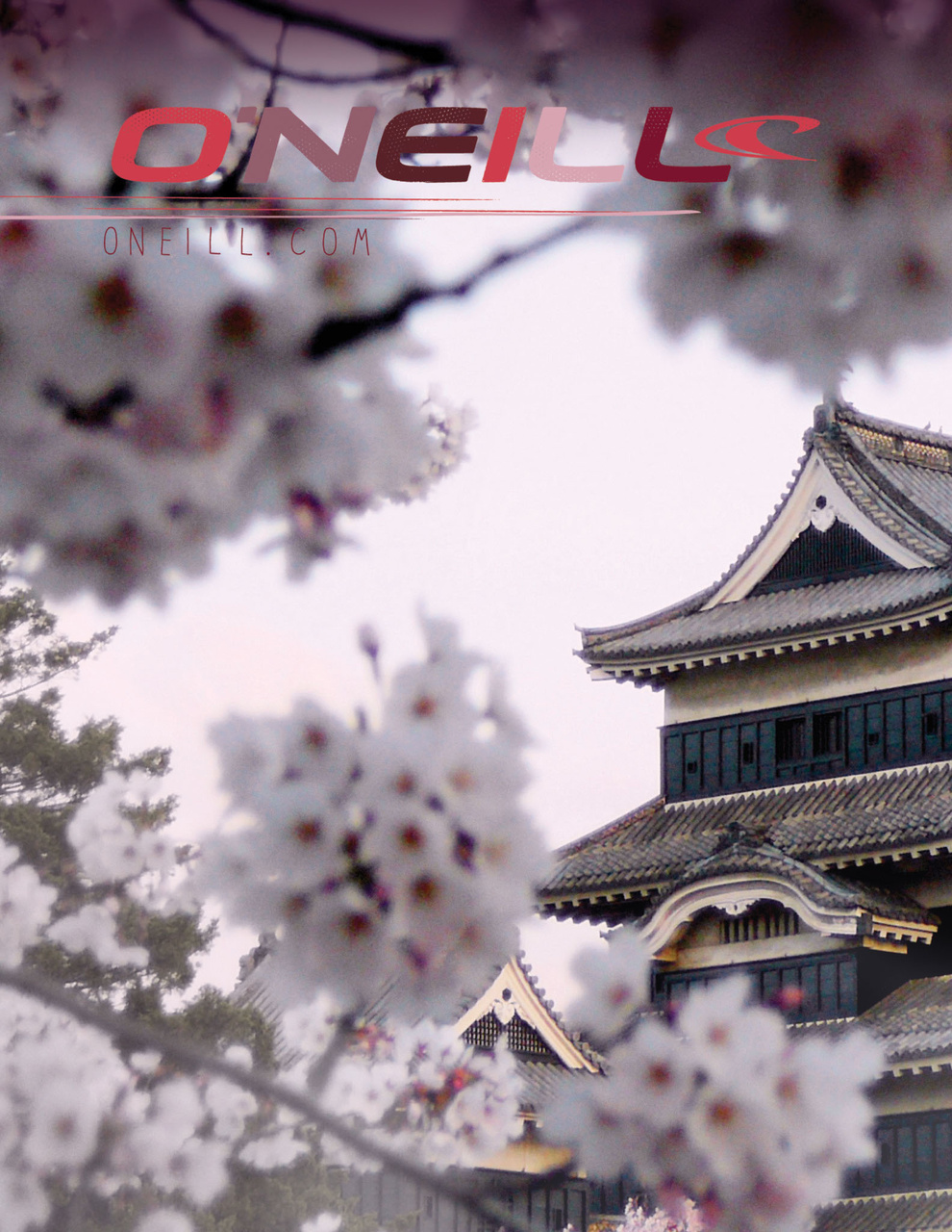 SurfGirl Magazine Preview Pages