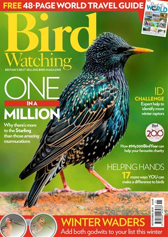 Bird Watching issue November 2019